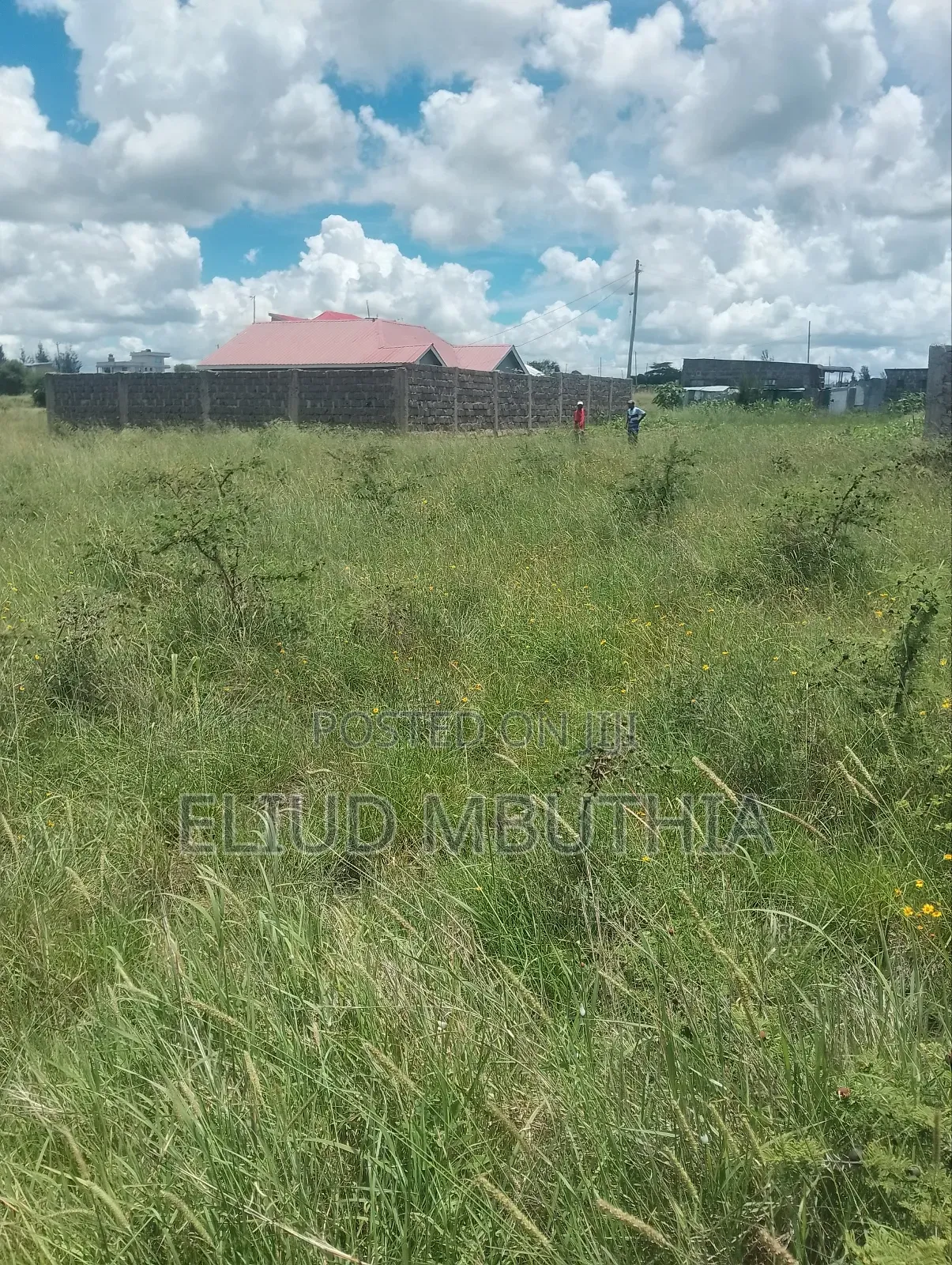 Selling 50 by 100 in Malaa 800 Meters From Tarmac