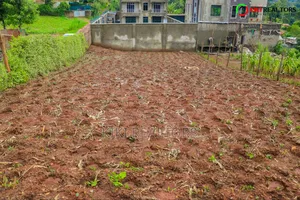 Kikuyu Sigona Prime Plot