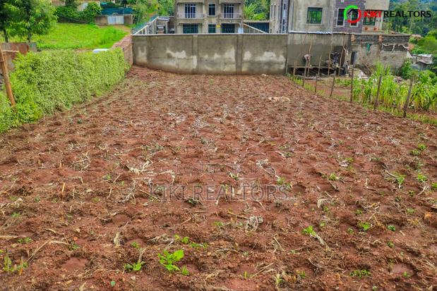 Kikuyu Sigona Prime Plot - thumbnail 5