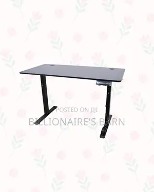 Boost Workflow With 1200x600mm Standing Desk Smooth Electric Lift