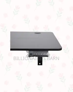 Boost Workflow With 1200x600mm Standing Desk Smooth Electric Lift