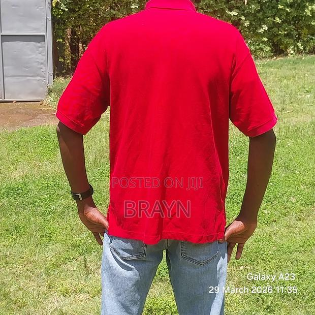 Polo T Shirt - thumbnail 14