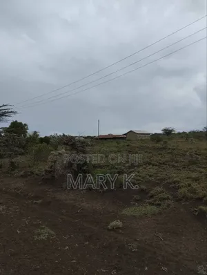4 Acres Parcel in Ngobit Ward Laikipia