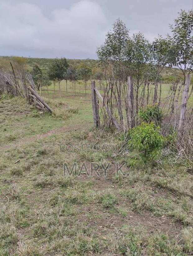 4 Acres Parcel in Ngobit Ward Laikipia - thumbnail 2