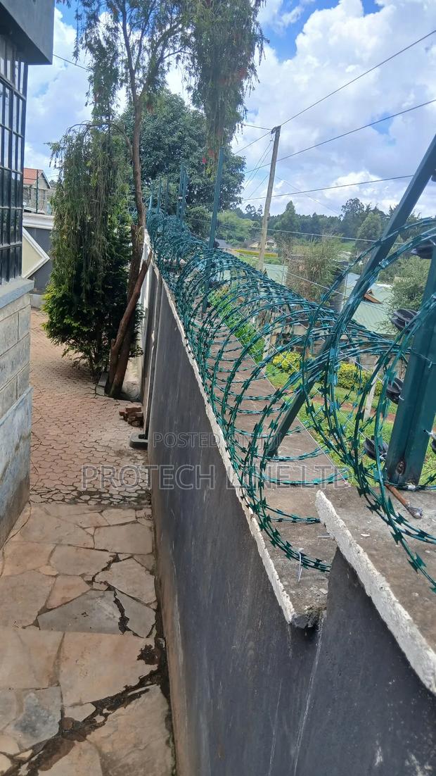 Green Razor Wire Double Galvanized 450mm - thumbnail 2