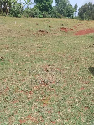 50*100ft Residential Plots of Land Gated Setting Nyeri