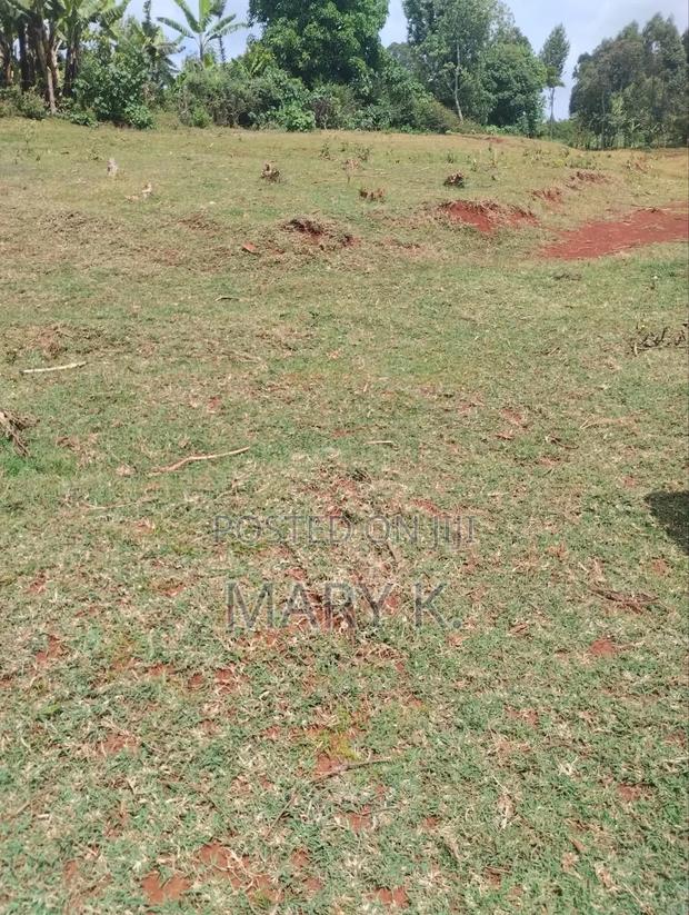 50*100ft Residential Plots of Land Gated Setting Nyeri