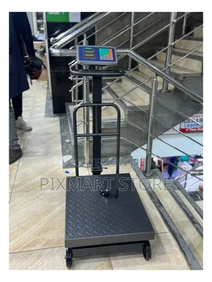 Industrial 600kg Platform Weighing Scale Digital