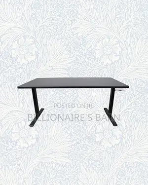 Upgrade Your Setup Using 1600x800mm Standing Desk Electric Lift For