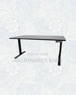 Upgrade Your Setup Using 1600x800mm Standing Desk Electric Lift For