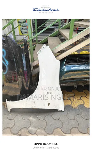 Hilux Vigo Wings/Fender