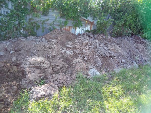 Cow Manure