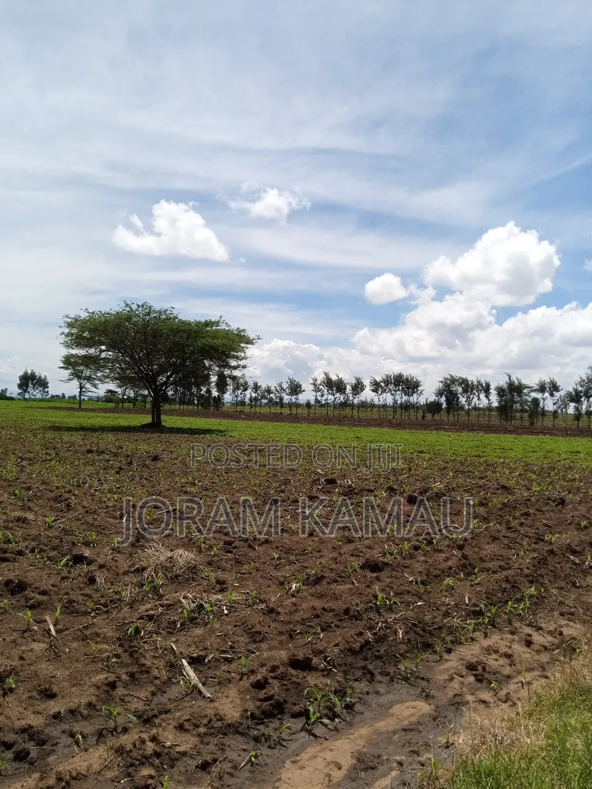 Plot for Sale in Simba Cement Less Than 2km From Main Road