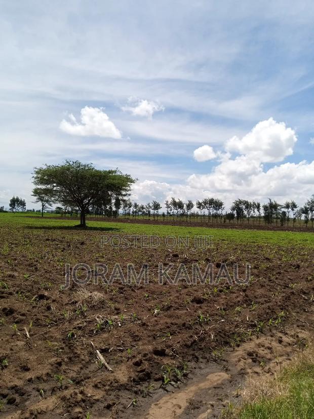 Plot for Sale in Simba Cement Less Than 2km From Main Road