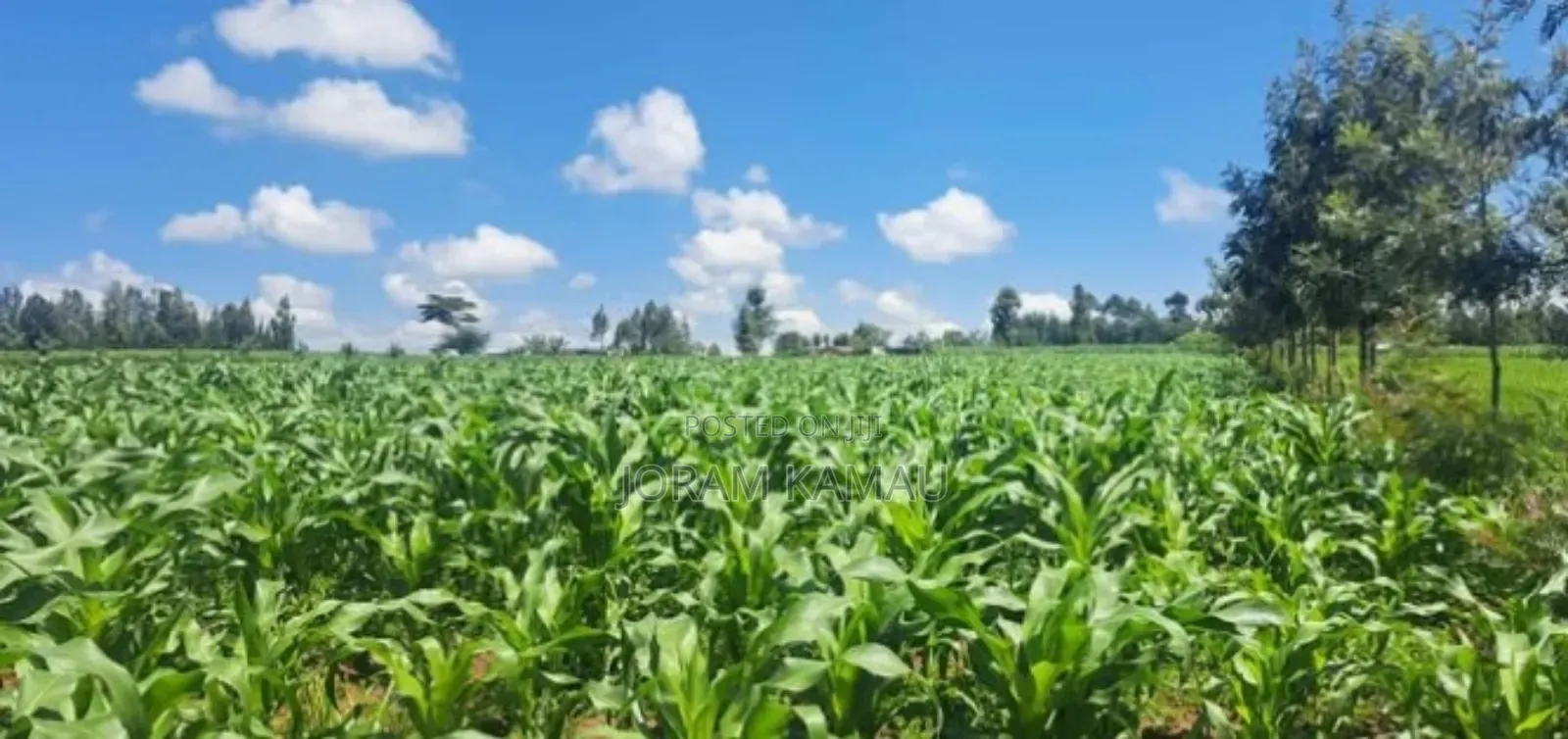 Plot for Sale in Simba Cement Less Than 2km From Main Road