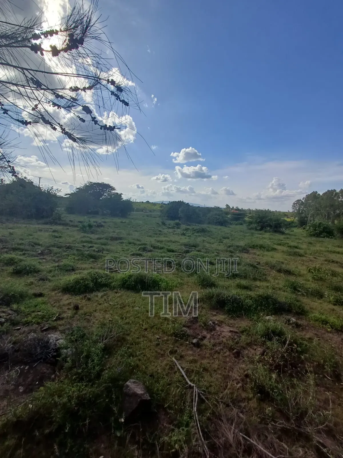 5 Acres Prime Land for Sale in Kitengela (Quick Sale)