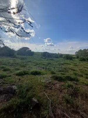 5 Acres Prime Land for Sale in Kitengela (Quick Sale)
