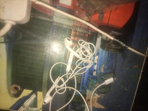 Apple Earphones - main view