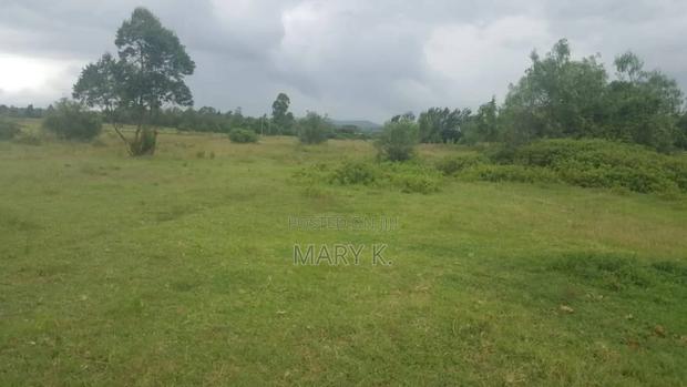 50 Acres Parcel of Land in Mweiga
