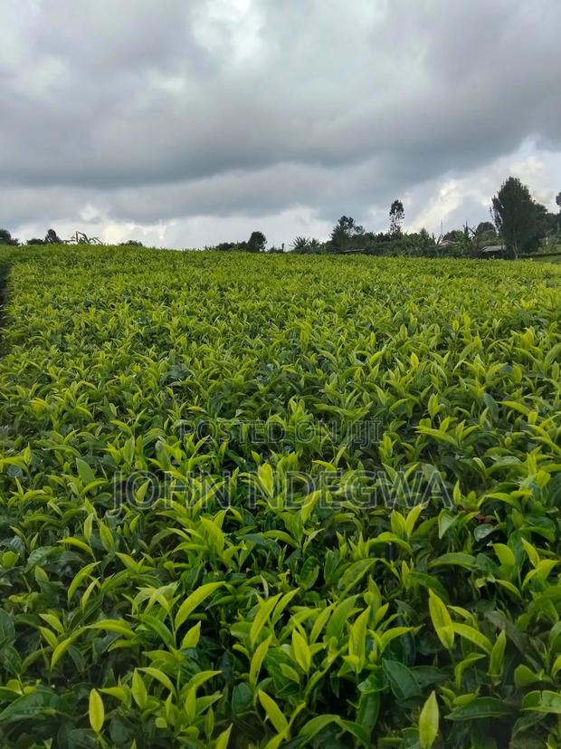 Prime Land Gituru Kangari - main view