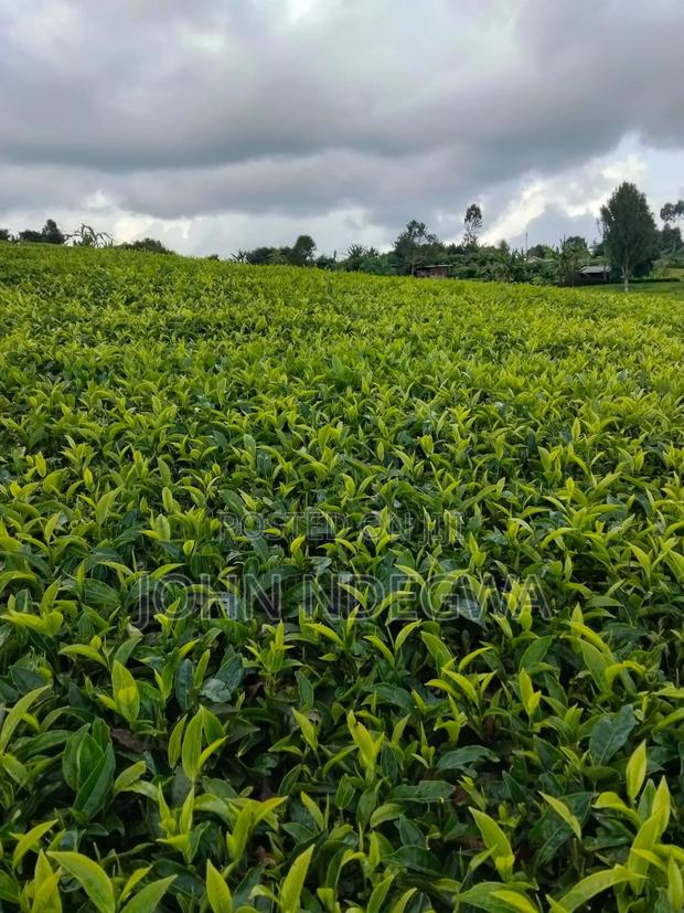 Prime Land Gituru Kangari - thumbnail 2