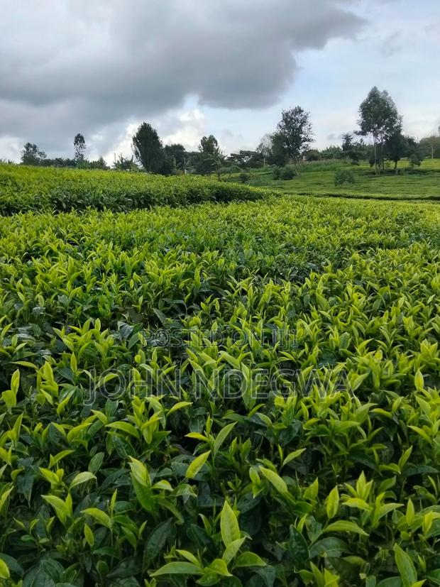 Prime Land Gituru Kangari - thumbnail 3