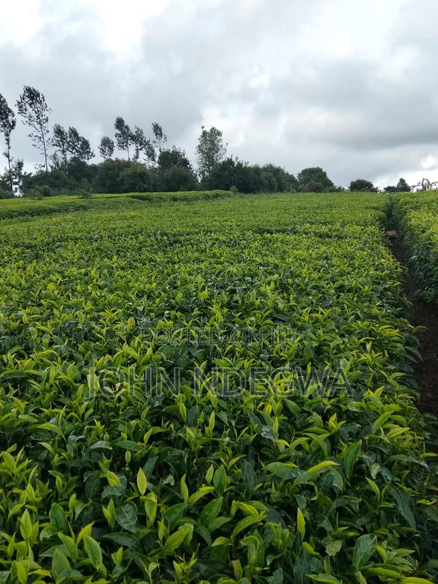 Prime Land Gituru Kangari - thumbnail 4