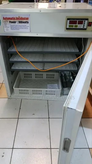 Automatic Ac/Dc 520eggs Incubator