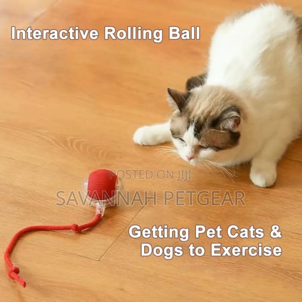 Interactive Automatic Electric Rolling Dog Cat Toy Ball With Usb - thumbnail 2