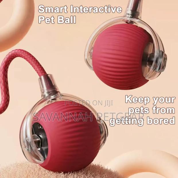 Interactive Automatic Electric Rolling Dog Cat Toy Ball With Usb - thumbnail 3