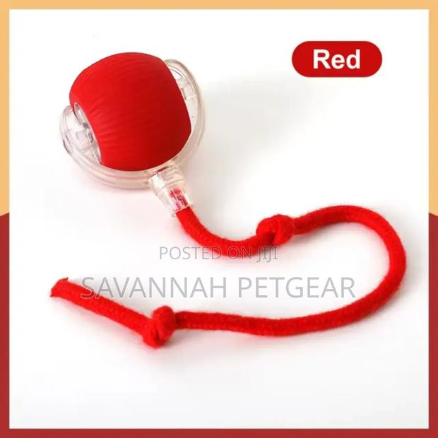 Interactive Automatic Electric Rolling Dog Cat Toy Ball With Usb - thumbnail 5