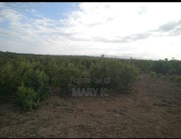16 Acres Parcel of Land in Kieni Kariguini