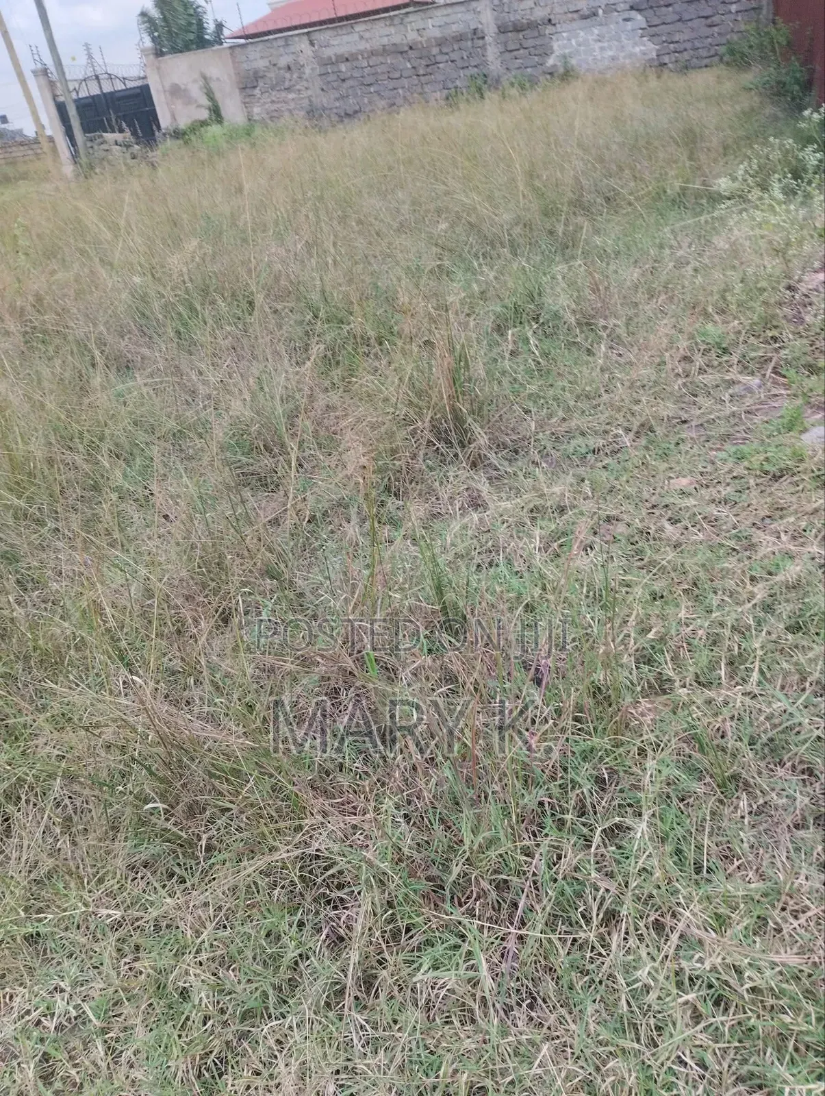 50*100ft Residential Land in Kamakis Corner Mutonya