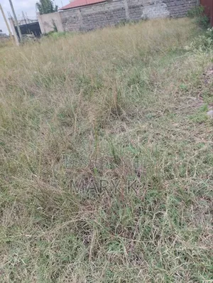 50*100ft Residential Land in Kamakis Corner Mutonya