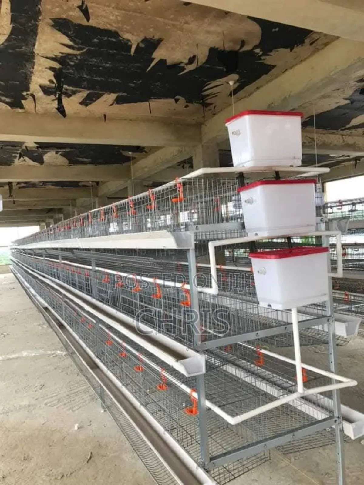H Type Chicken Cages