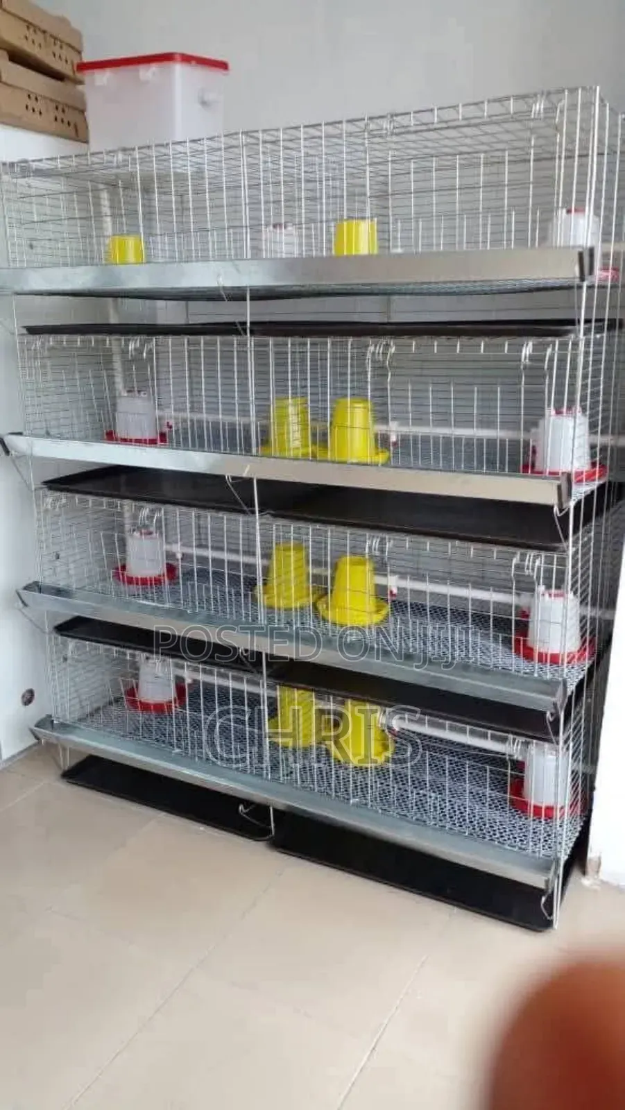 H Type Chicken Cages