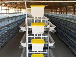 H Type Chicken Cages
