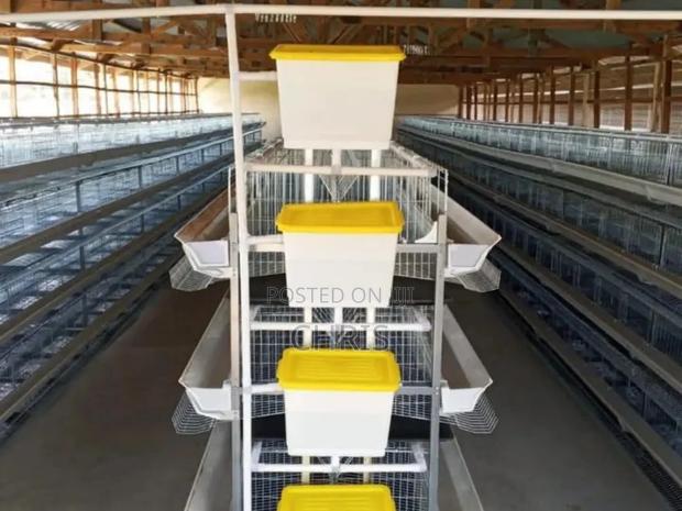 H Type Chicken Cages - thumbnail 3