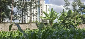 1/2 Land for Sale in Kabete Gathiga