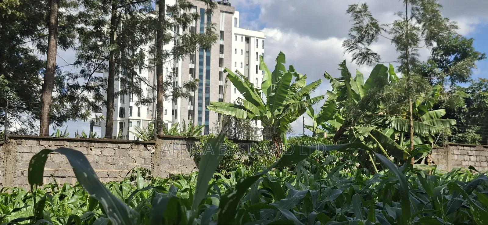 1/2 Land for Sale in Kabete Gathiga