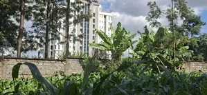 1/2 Land for Sale in Kabete Gathiga
