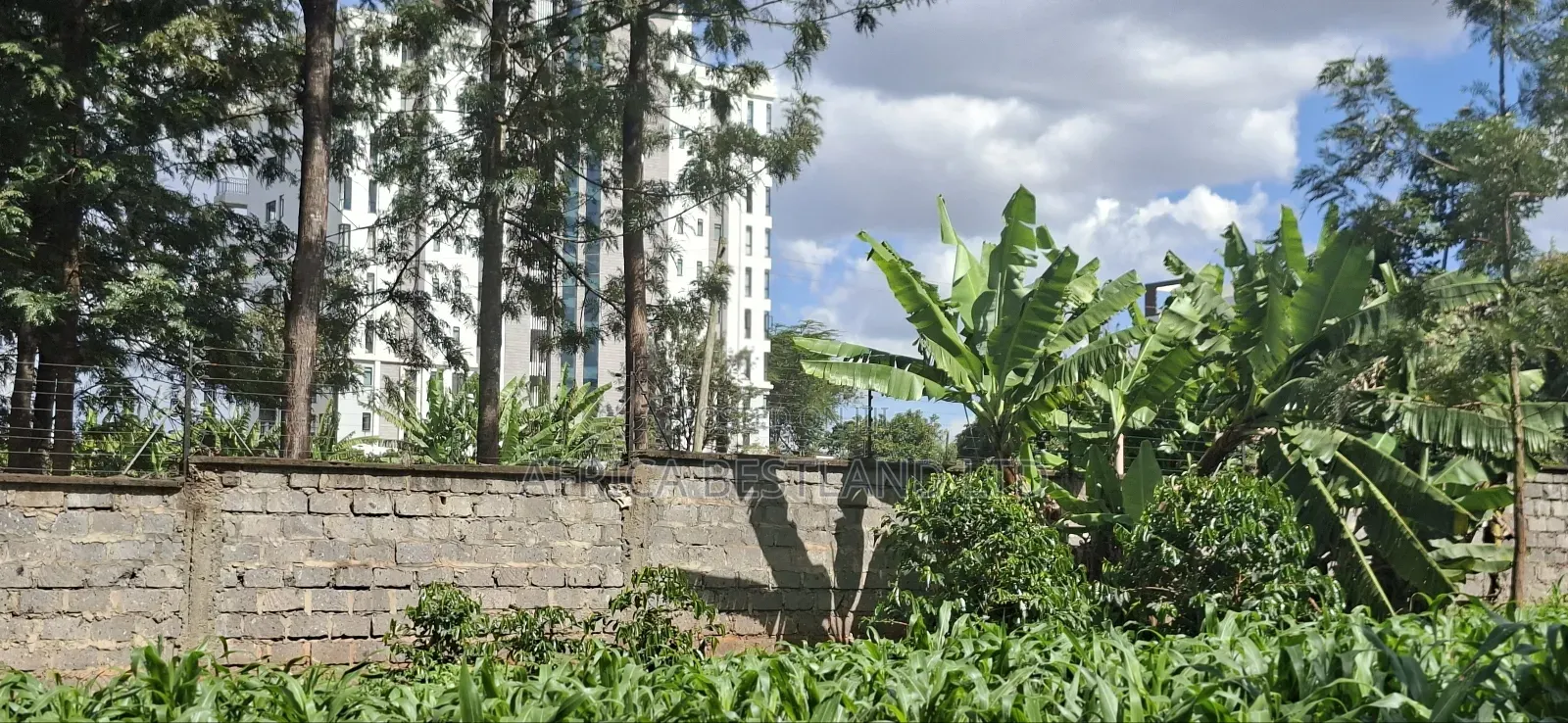 1/2 Land for Sale in Kabete Gathiga