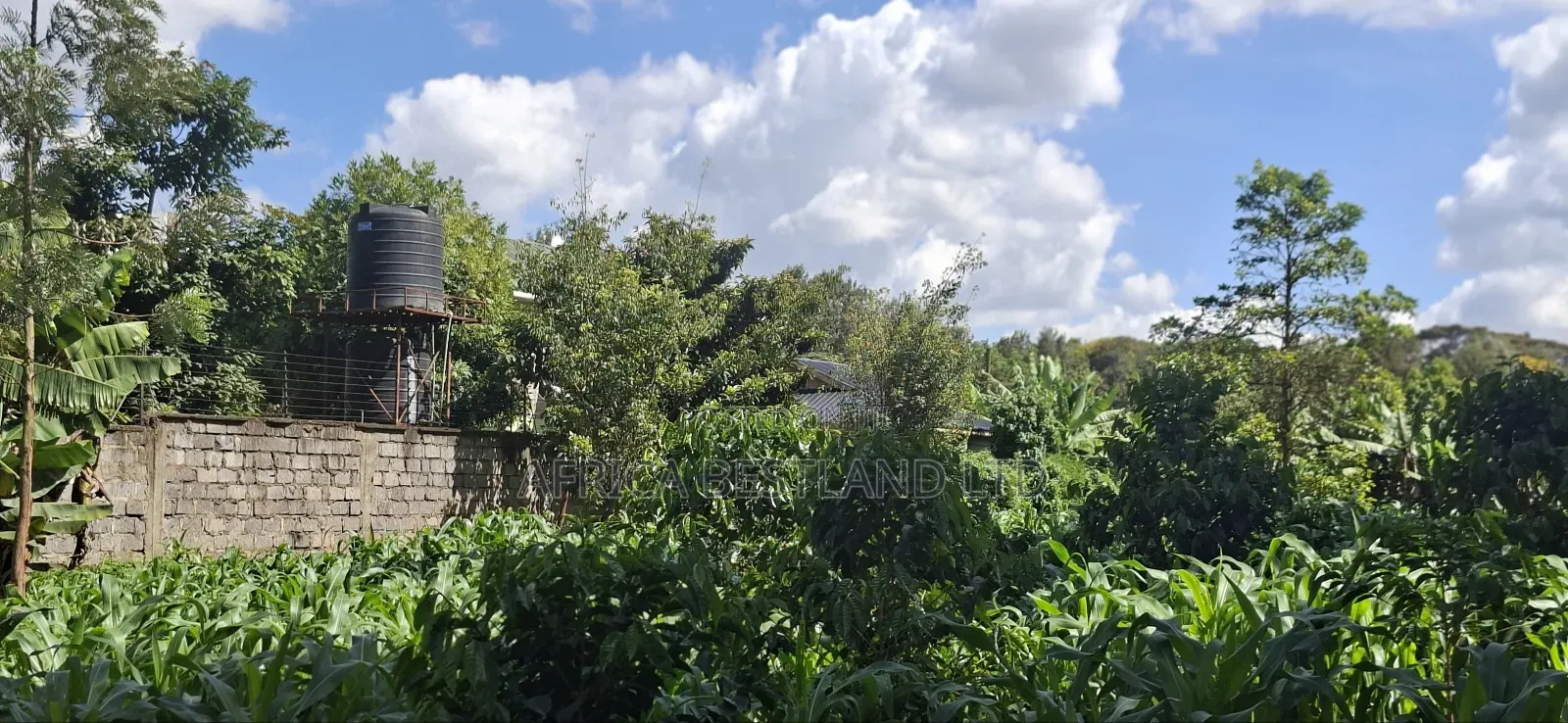 1/2 Land for Sale in Kabete Gathiga