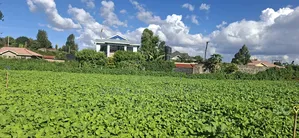 50x100 Available Plot in Kabete Kaiba