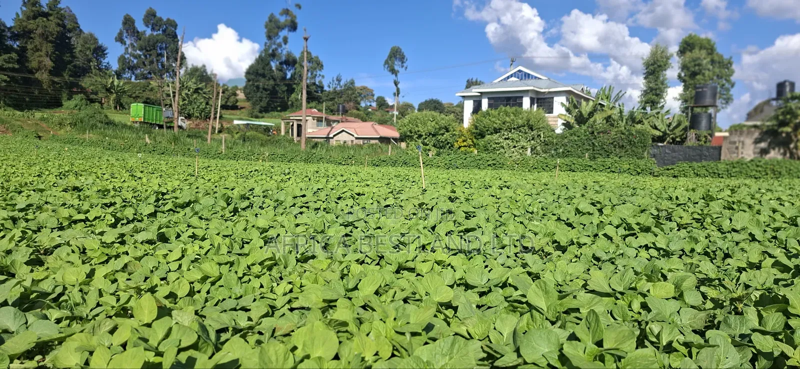 50x100 Available Plot in Kabete Kaiba