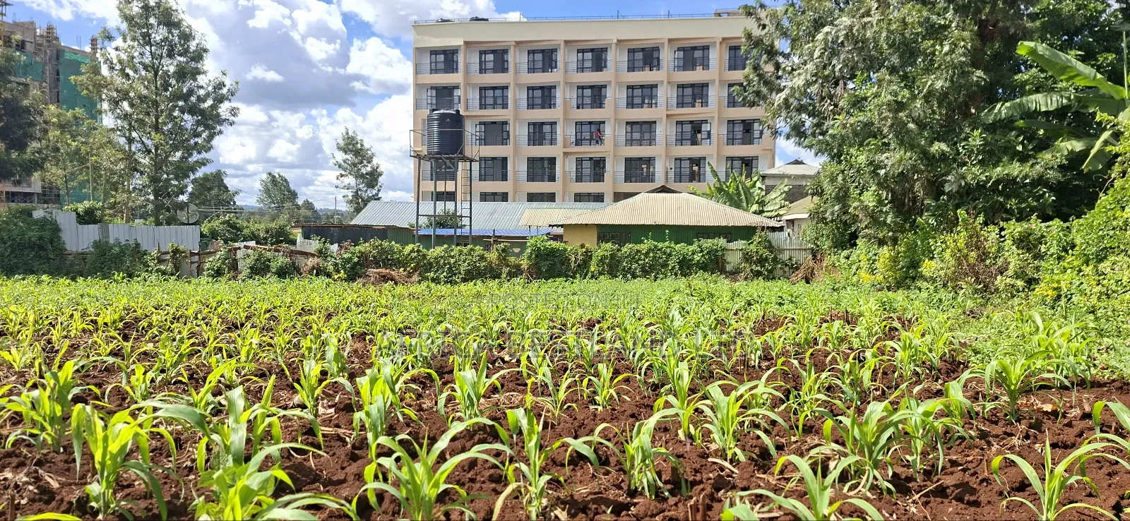 100x100 Commercial Plot for Sale – Kirawa Road, Gathiga