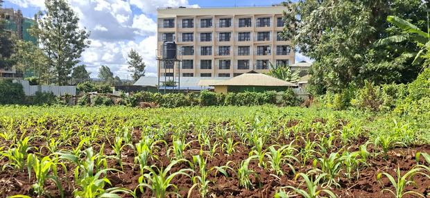 100x100 Commercial Plot for Sale – Kirawa Road, Gathiga