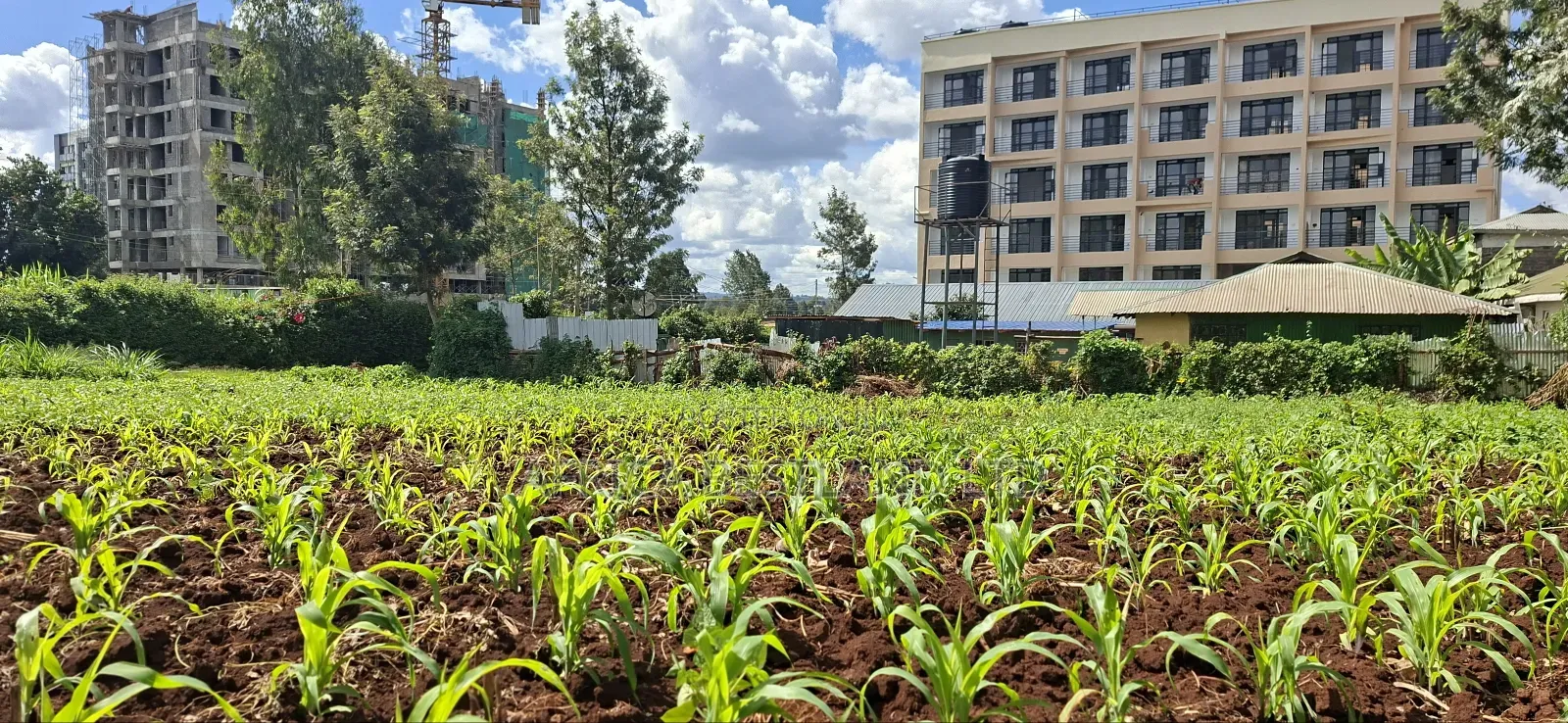 100x100 Commercial Plot for Sale – Kirawa Road, Gathiga