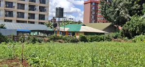 100x100 Commercial Plot for Sale – Kirawa Road, Gathiga
