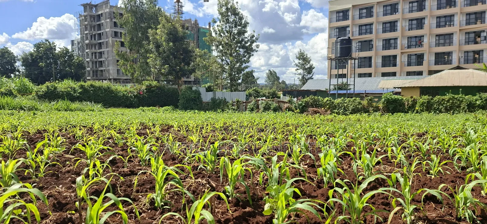 100x100 Commercial Plot for Sale – Kirawa Road, Gathiga